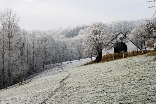 Portfolio - Landscape, Landschaft, Winter, Feld und Wiesen, Saarland, St. Ingbert